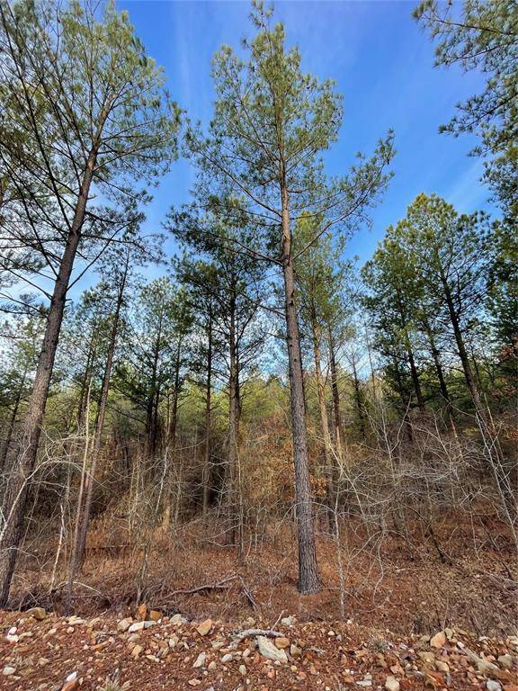 703 Timber Creek Trails South XI, Broken Bow, OK 74728