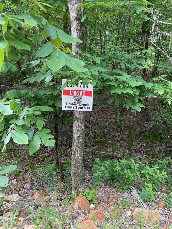 704 Timber Creek Trails South XI, Broken Bow, OK 74728
