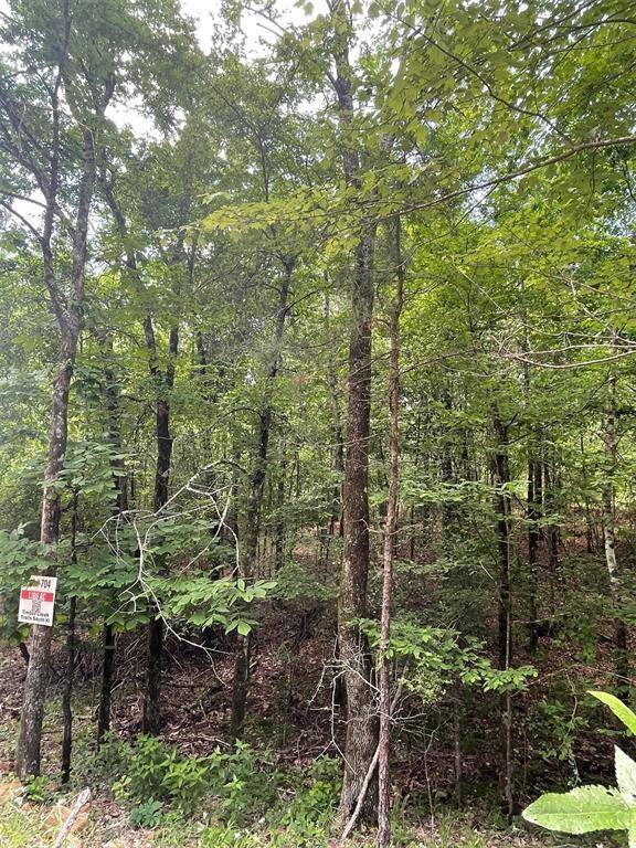704 Timber Creek Trails South XI, Broken Bow, OK 74728