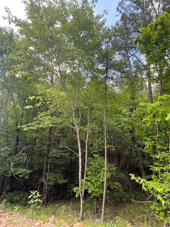 704 Timber Creek Trails South XI, Broken Bow, OK 74728