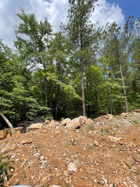 705 Timber Creek Trails South XI, Broken Bow, OK 74728