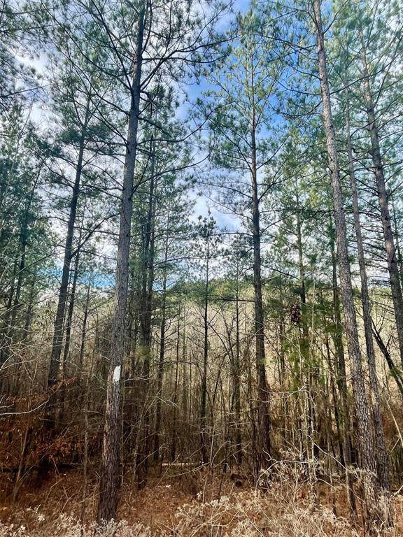 707 Timber Creek Trails South XI, Broken Bow, OK 74728