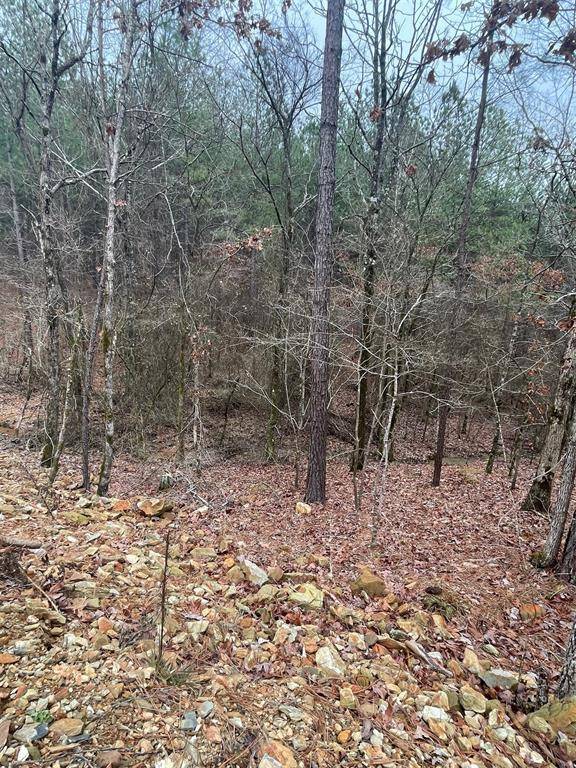 708 Timber Creek Trails South XI, Broken Bow, OK 74728