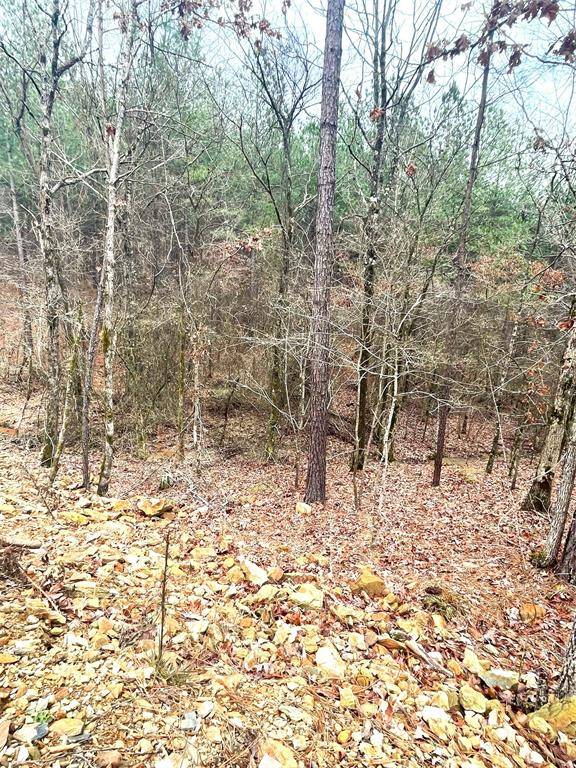 708 Timber Creek Trails South XI, Broken Bow, OK 74728