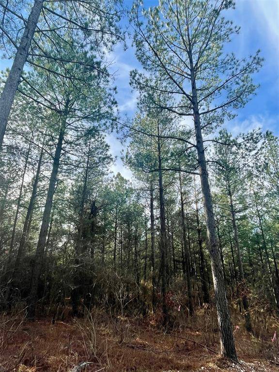 710 Timber Creek Trails South XI, Broken Bow, OK 74728
