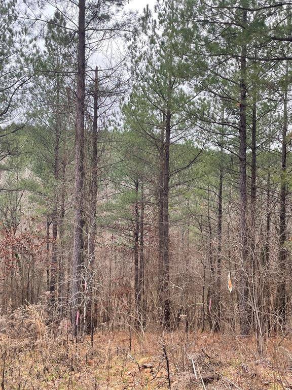 715 Timber Creek Trails South XI, Broken Bow, OK 74728