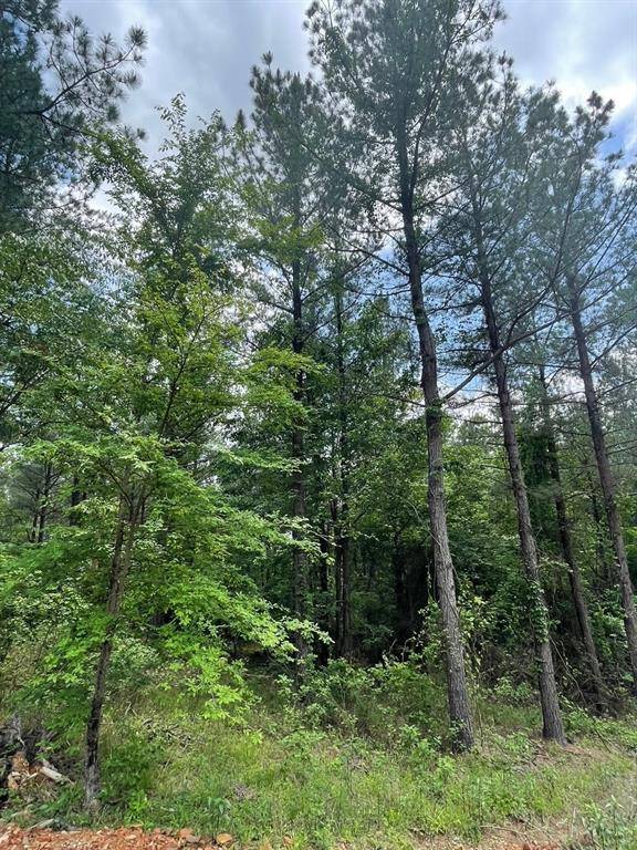 717 Timber Creek Trails South XI, Broken Bow, OK 74728