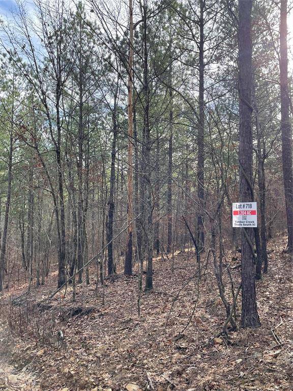 718 Timber Creek Trails South XI, Broken Bow, OK 74728