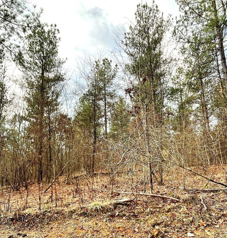 720 Timber Creek Trails South XI, Broken Bow, OK 74728