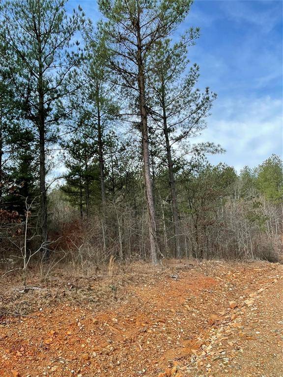 721 Timber Creek Trails South XI, Broken Bow, OK 74728