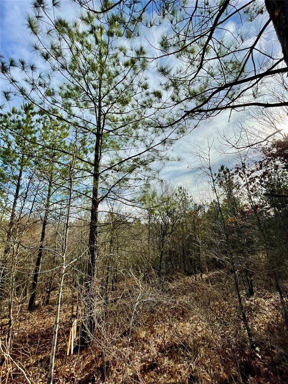 723 Timber Creek Trails South XI, Broken Bow, OK 74728