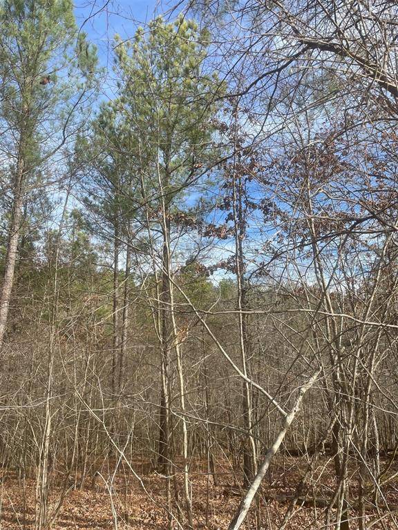 726 Timber Creek Trails South XI, Broken Bow, OK 74728