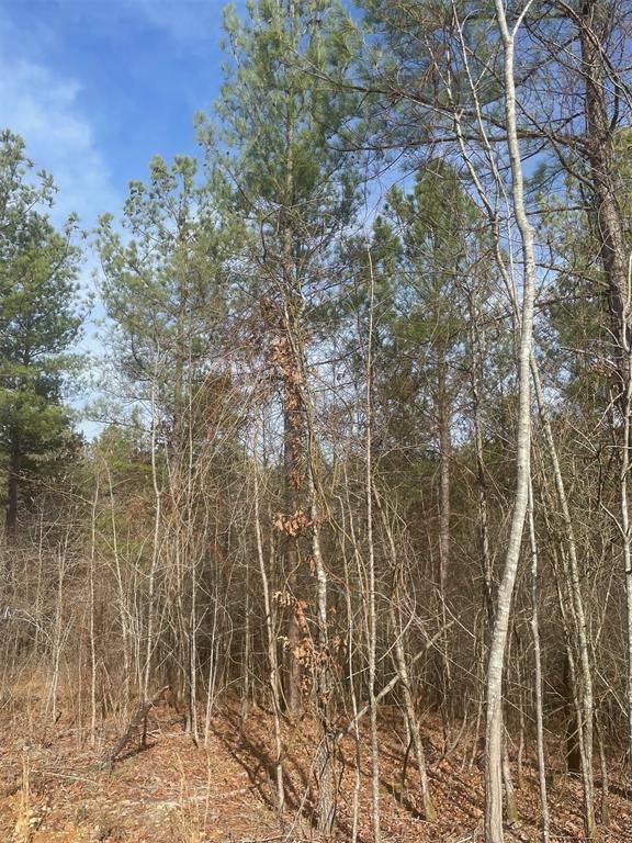 726 Timber Creek Trails South XI, Broken Bow, OK 74728