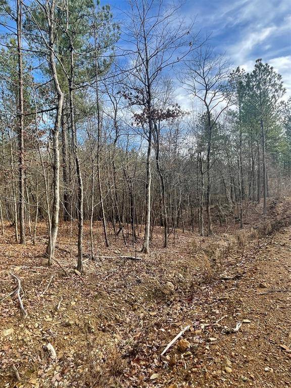 729 Timber Creek Trails South XI, Broken Bow, OK 74728