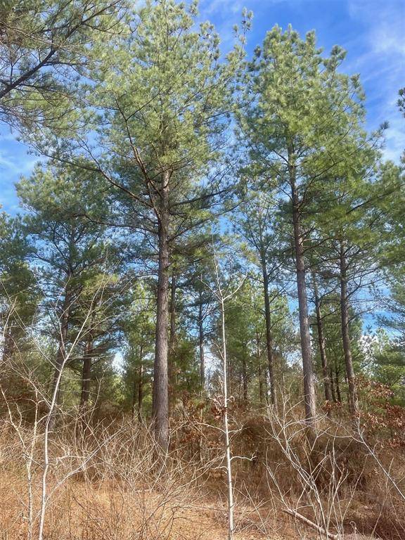 730 Timber Creek Trails South XI, Broken Bow, OK 74728