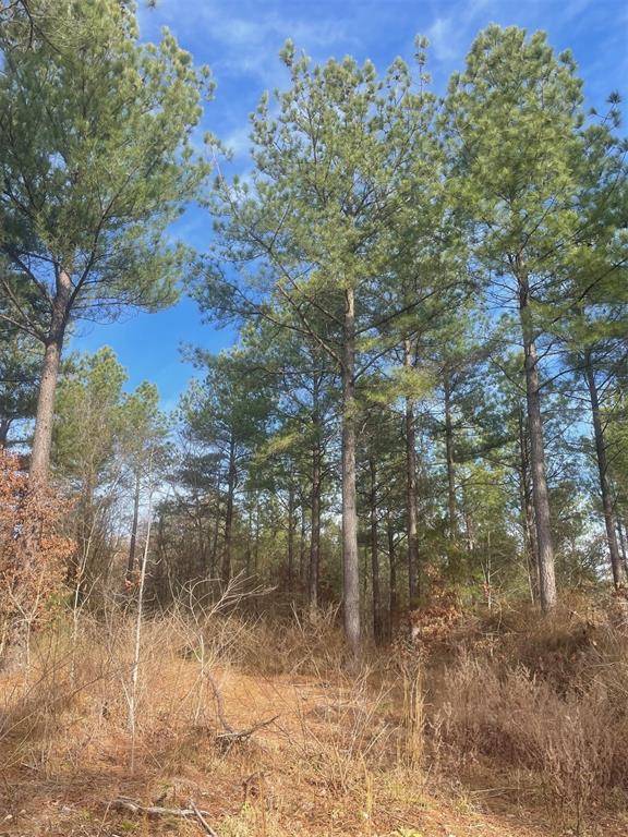 730 Timber Creek Trails South XI, Broken Bow, OK 74728