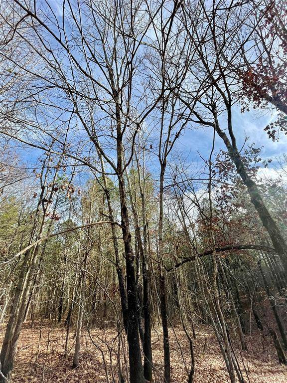 731 Timber Creek Trails South XI, Broken Bow, OK 74728