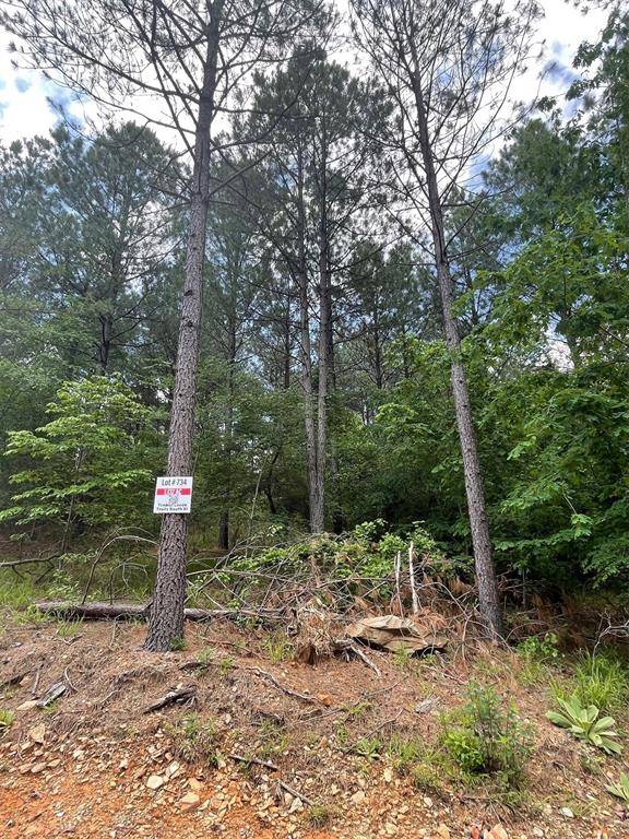 734 Timber Creek Trails South XI, Broken Bow, OK 74728