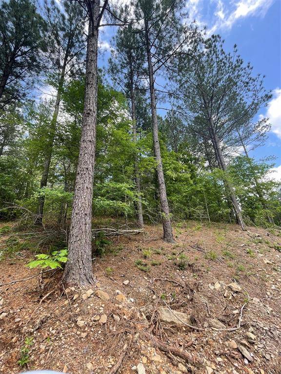 735 Timber Creek Trails South XI, Broken Bow, OK 74728