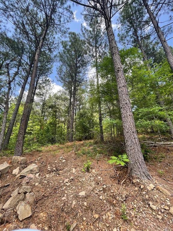 735 Timber Creek Trails South XI, Broken Bow, OK 74728