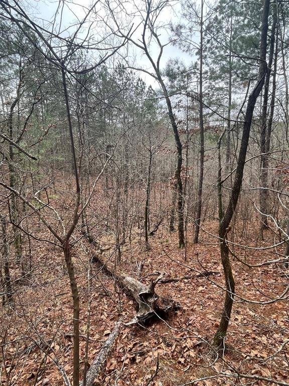 736 Timber Creek Trails South XI, Broken Bow, OK 74728