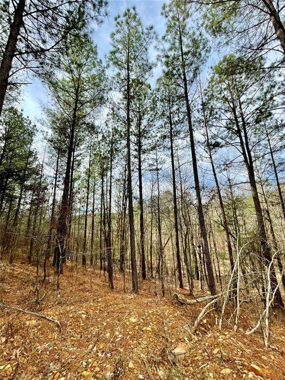 737 Timber Creek Trails South XI, Broken Bow, OK 74728