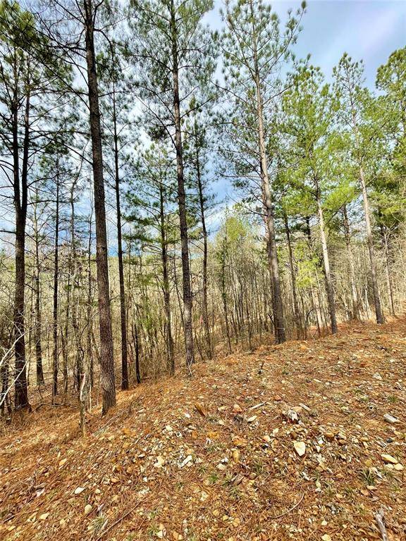 737 Timber Creek Trails South XI, Broken Bow, OK 74728