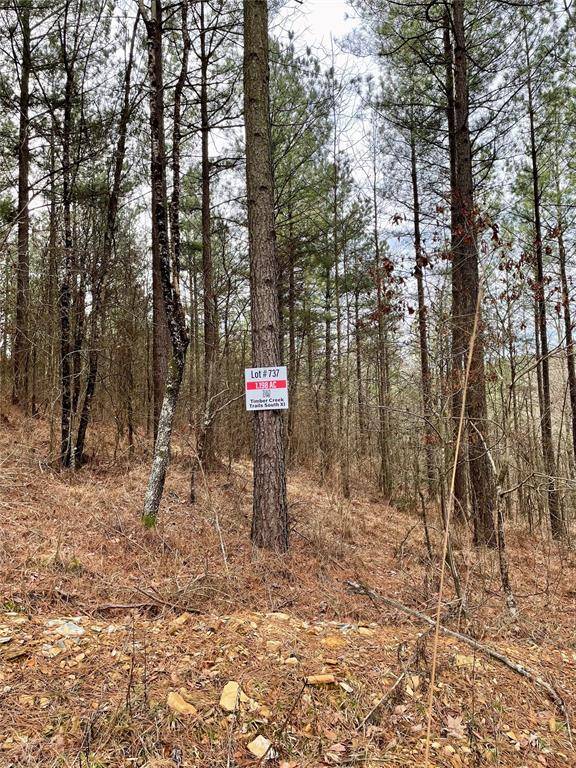 737 Timber Creek Trails South XI, Broken Bow, OK 74728