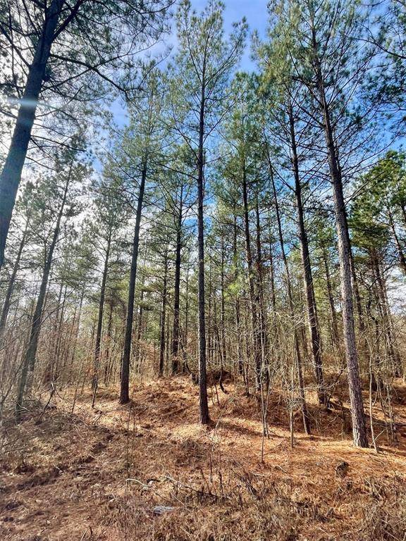 742 Timber Creek Trails South XI, Broken Bow, OK 74728