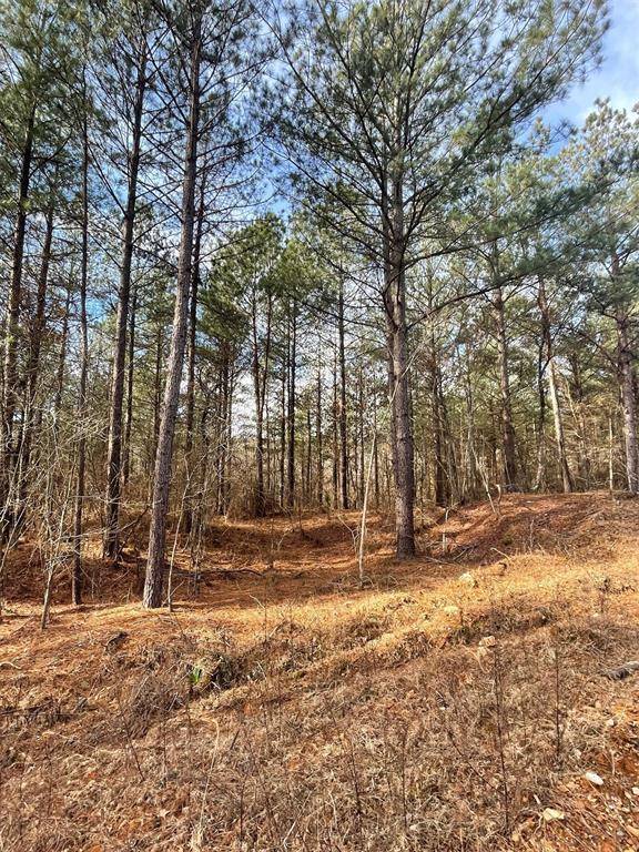 742 Timber Creek Trails South XI, Broken Bow, OK 74728