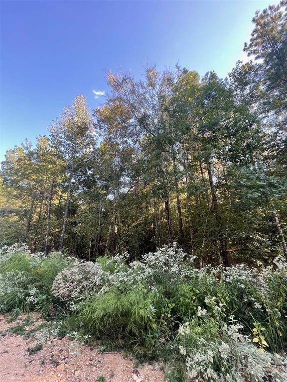 745 Timber Creek Trails South XI, Broken Bow, OK 74728