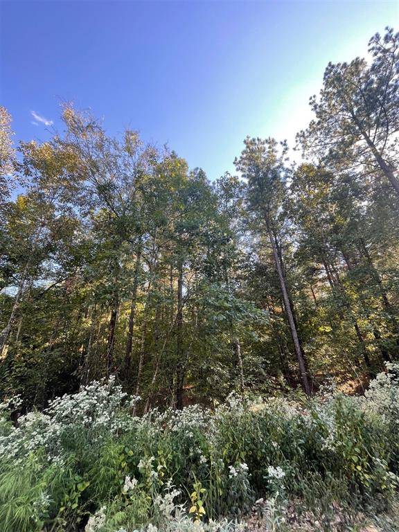 745 Timber Creek Trails South XI, Broken Bow, OK 74728