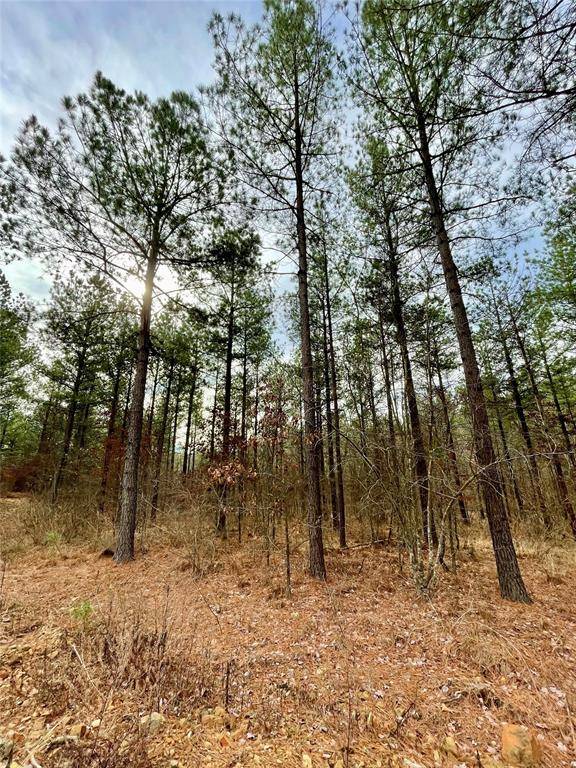 746 Timber Creek Trails South XI, Broken Bow, OK 74728