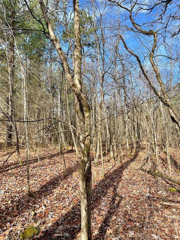 750 Timber Creek Trails South XI, Broken Bow, OK 74728