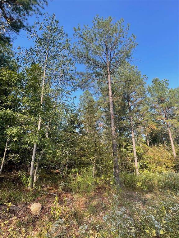 753 Timber Creek Trails South XI, Broken Bow, OK 74728