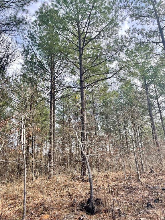 754 Timber Creek Trails South XI, Broken Bow, OK 74728