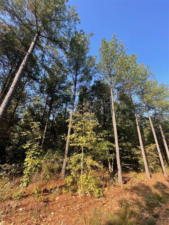758 Timber Creek Trails South XI, Broken Bow, OK 74728