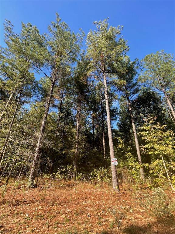 758 Timber Creek Trails South XI, Broken Bow, OK 74728
