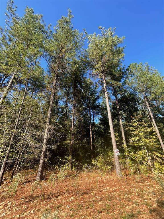 758 Timber Creek Trails South XI, Broken Bow, OK 74728