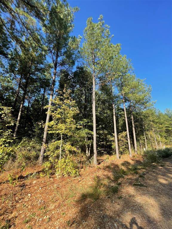 758 Timber Creek Trails South XI, Broken Bow, OK 74728