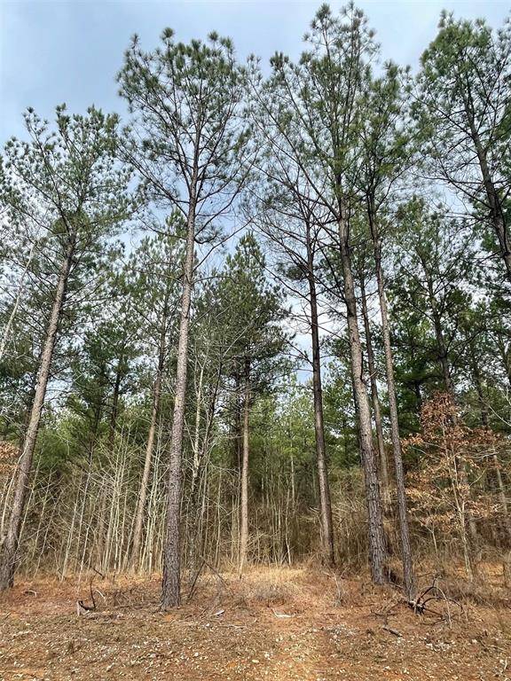 759 Timber Creek Trails South XI, Broken Bow, OK 74728