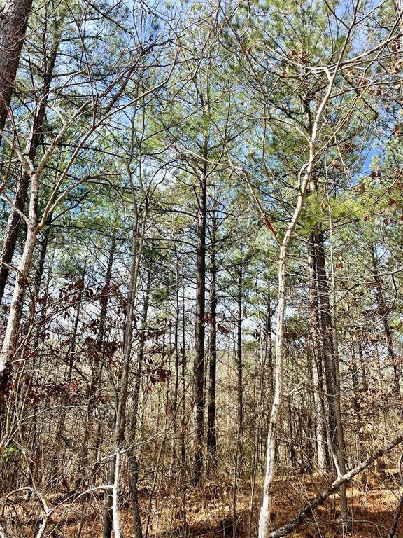 764 Timber Creek Trails South XI, Broken Bow, OK 74728