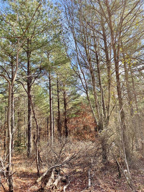 766 Timber Creek Trails South XI, Broken Bow, OK 71842