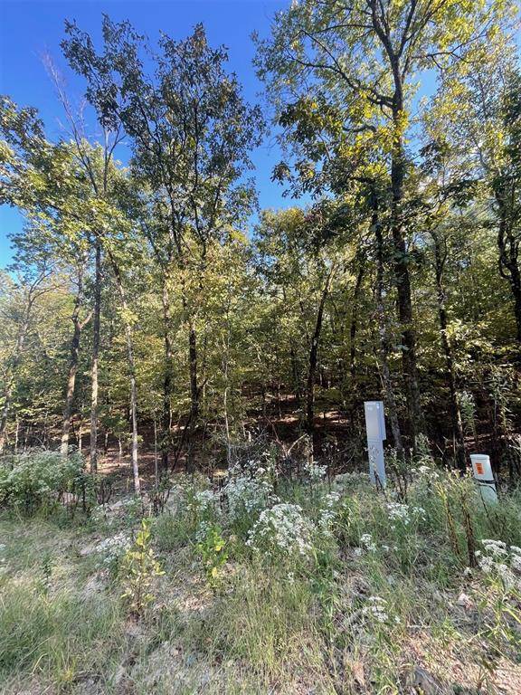 767 Timber Creek Trails South XI, Broken Bow, OK 74728
