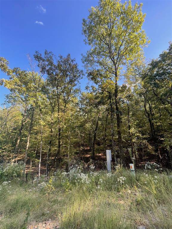 767 Timber Creek Trails South XI, Broken Bow, OK 74728