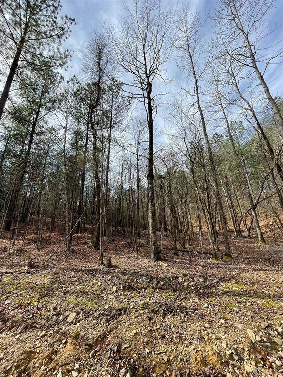 768 Timber Creek Trails South XI, Broken Bow, OK 74728