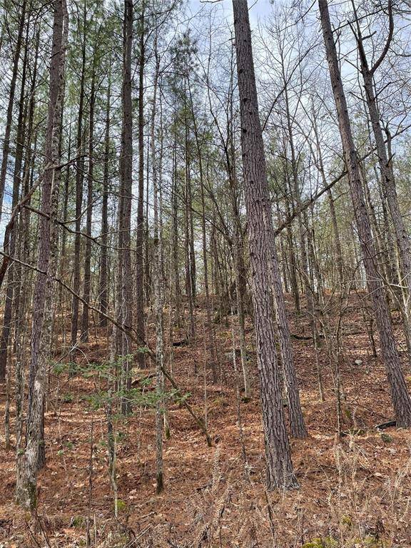 769 Timber Creek Trails South XI, Broken Bow, OK 74728