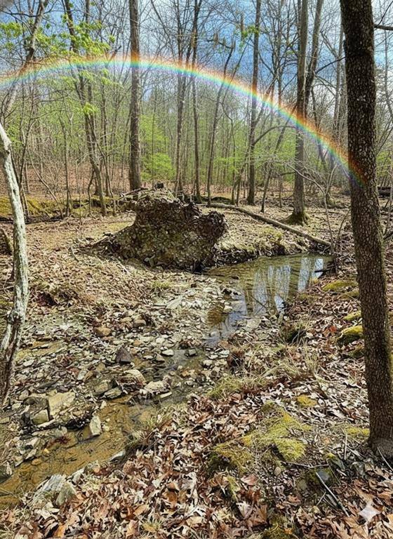 770 Timber Creek Trails South XI, Broken Bow, OK 74728