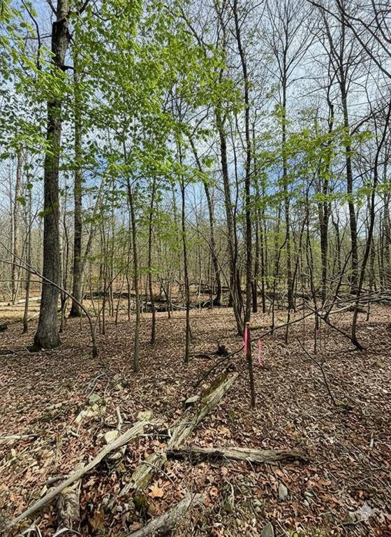 770 Timber Creek Trails South XI, Broken Bow, OK 74728