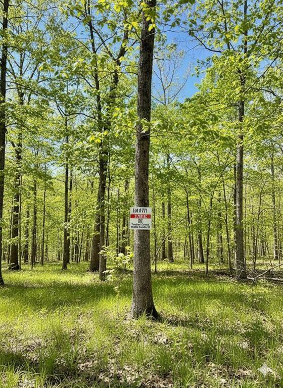 771 Timber Creek Trails South XI, Broken Bow, OK 74728